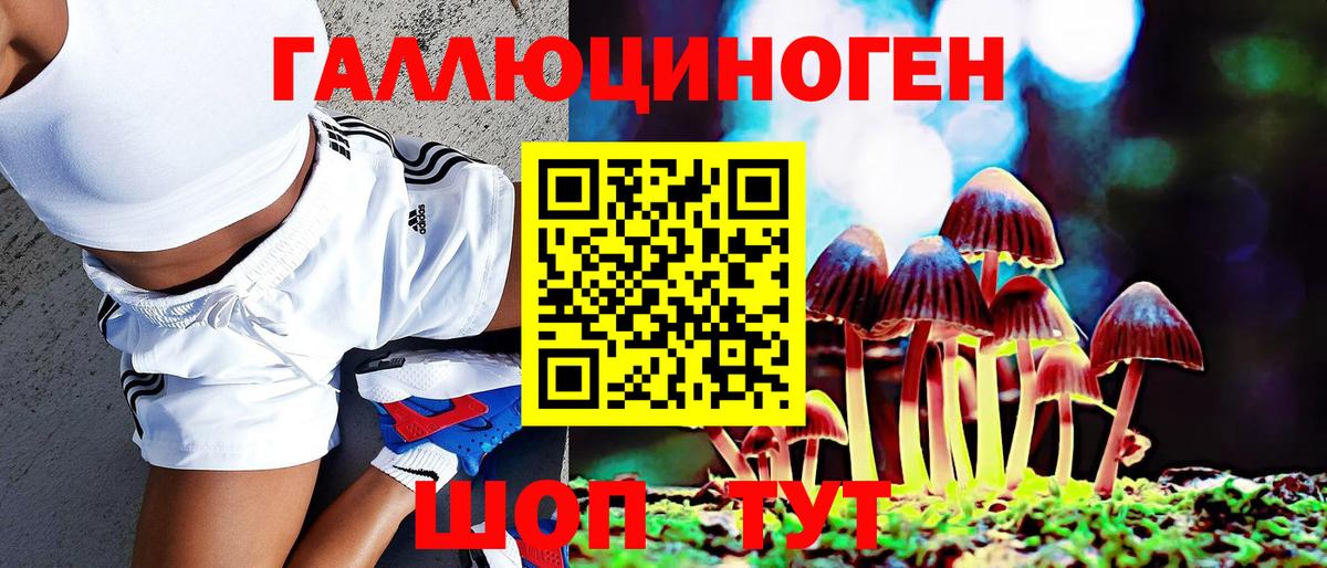 Галлюциногенные грибы прущие грибы Новый Уренгой