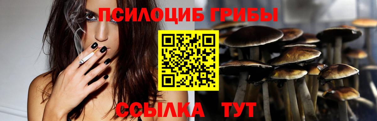Новый Уренгой  Псилоцибиновые грибы Psilocybine cubensis  Вход с VPN 